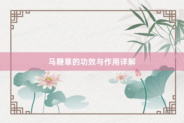 马鞭草的功效与作用详解