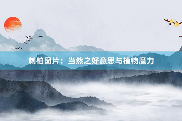 刺柏图片：当然之好意思与植物魔力